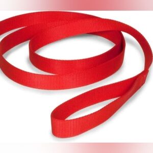 Pet Supply Slip Dog Leash, Red